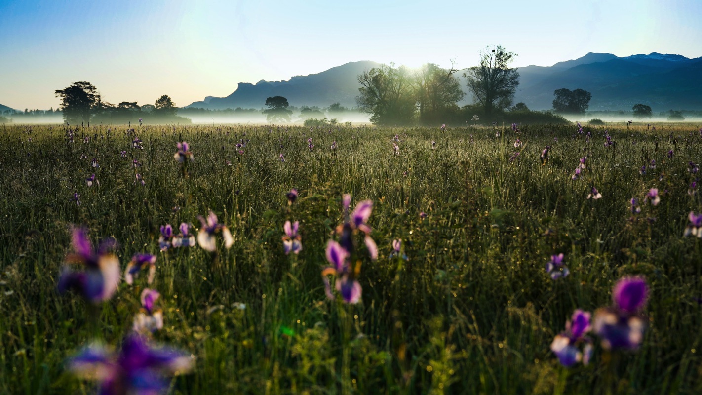 EeL_Filmfabrik_02 1600.jpg