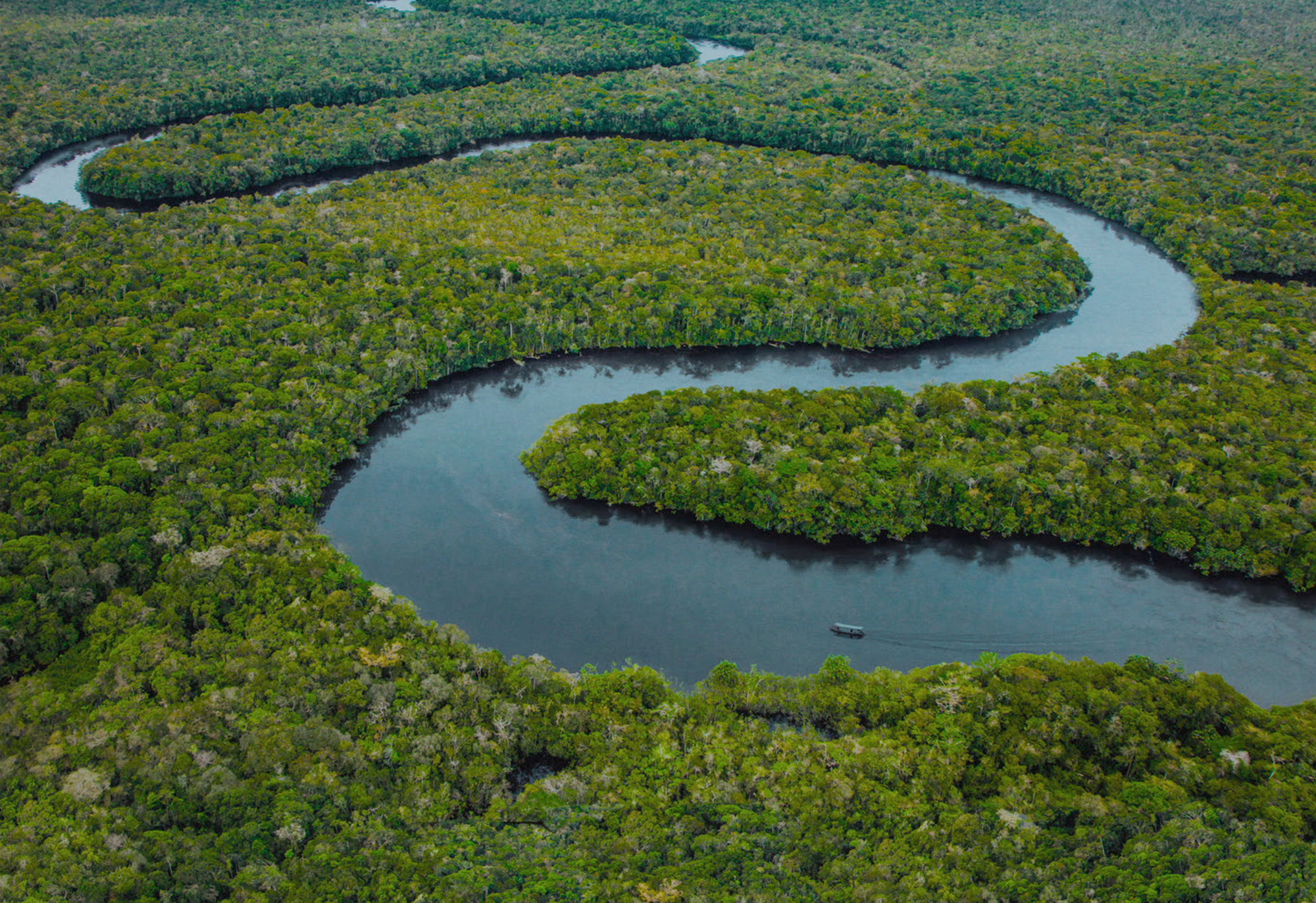 THE_BLUE_TRAIL_Still_7Guillermo_Garza_Desvia.jpg