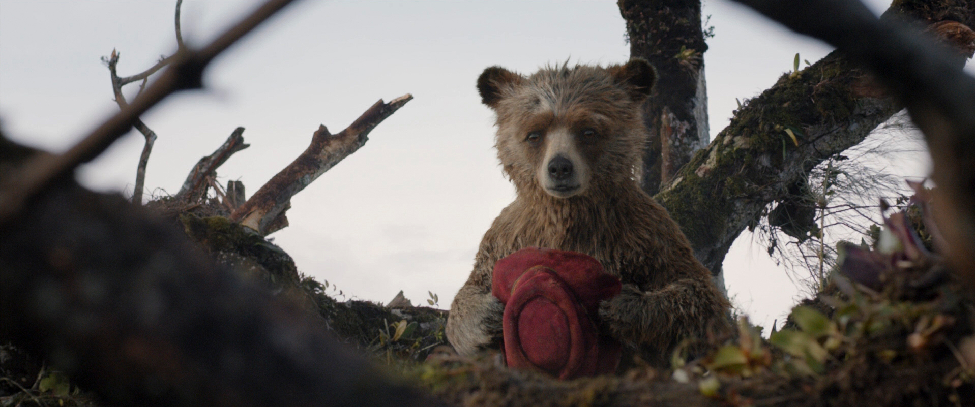 Paddington-2014_still_1734954972931-8.jpg