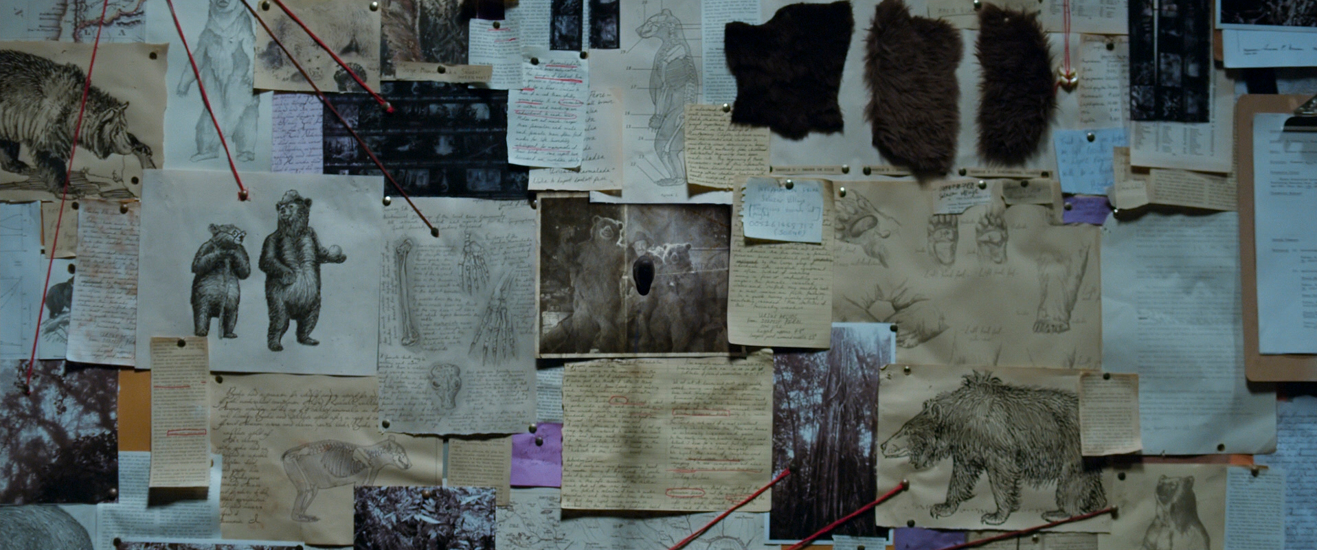 Paddington-2014_still_1734954972931-19.jpg