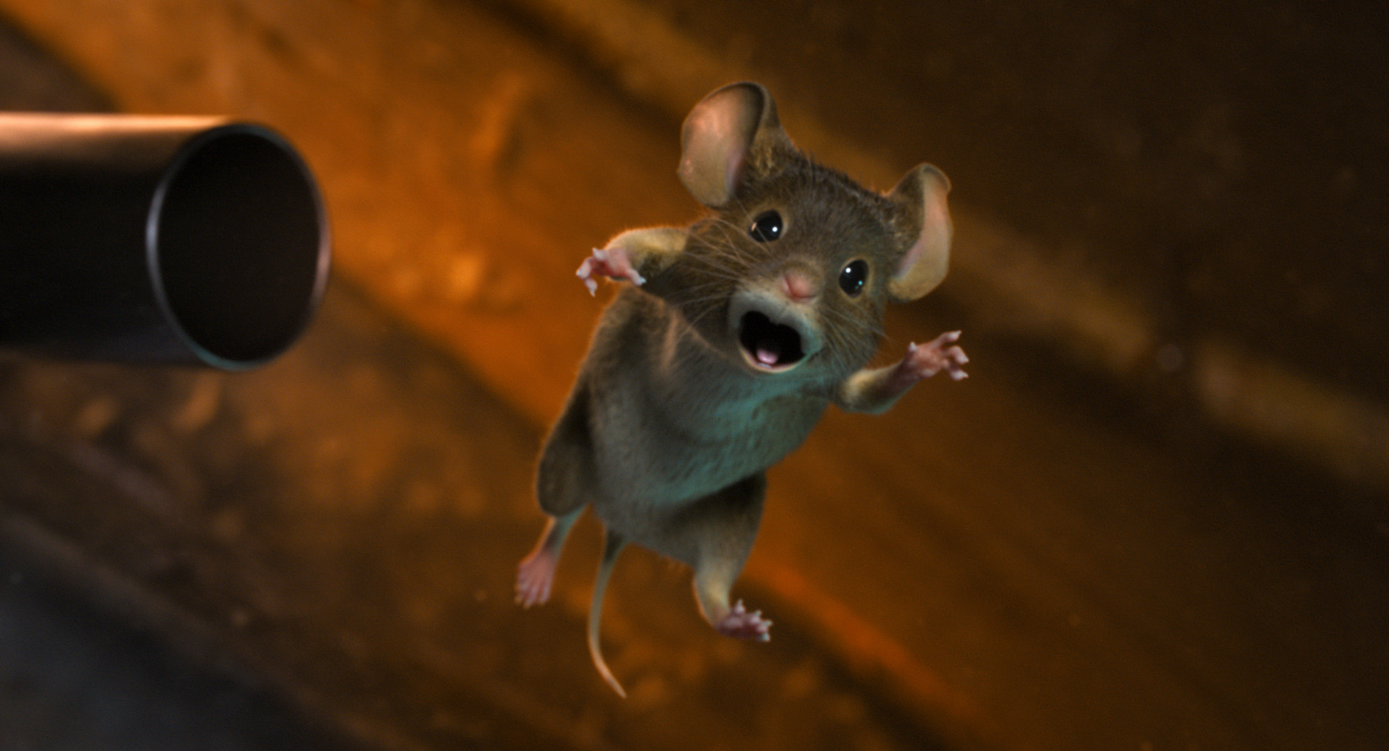 Mission Mäusejagd - Chaos unterm Weihnachtsbaum - Szenen - ov - 04 SolaMedia_06.jpg