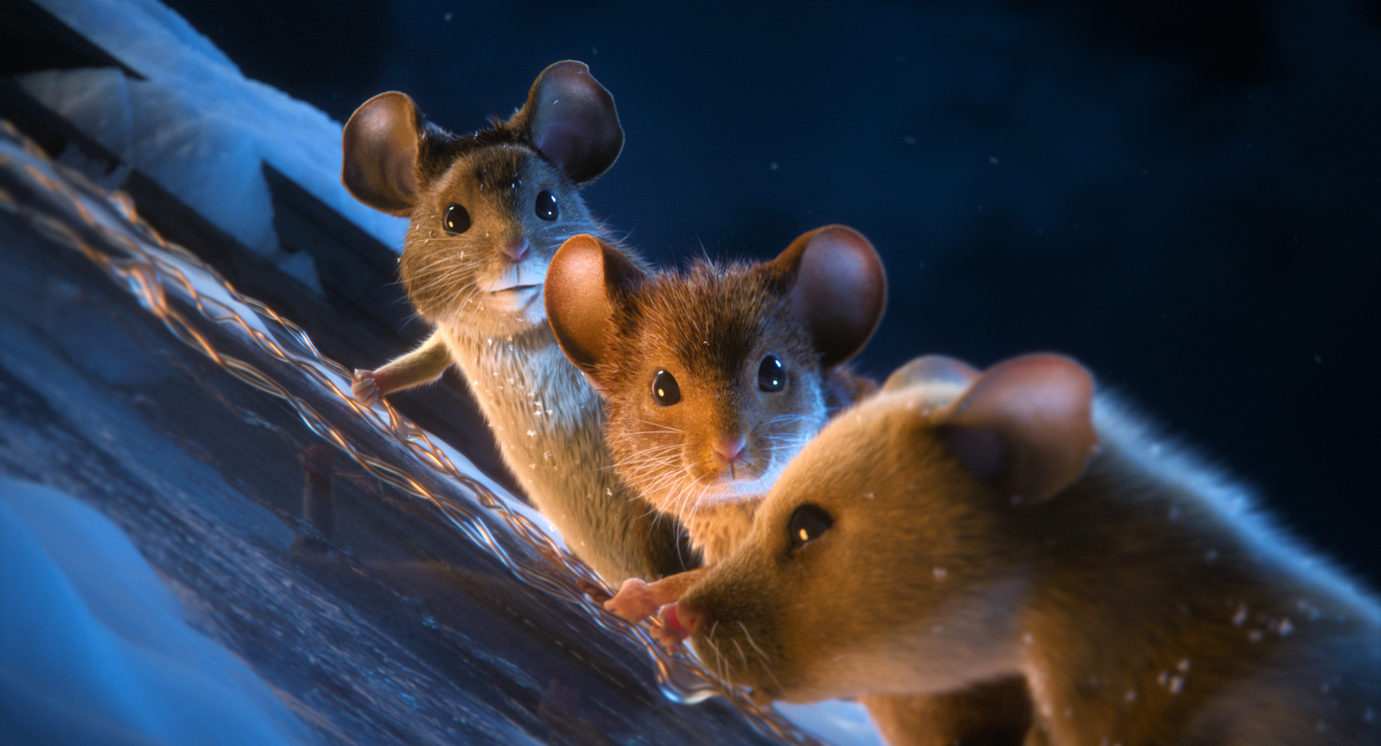 Mission Mäusejagd - Chaos unterm Weihnachtsbaum - Szenen - ov - 03 SolaMedia_04.jpg