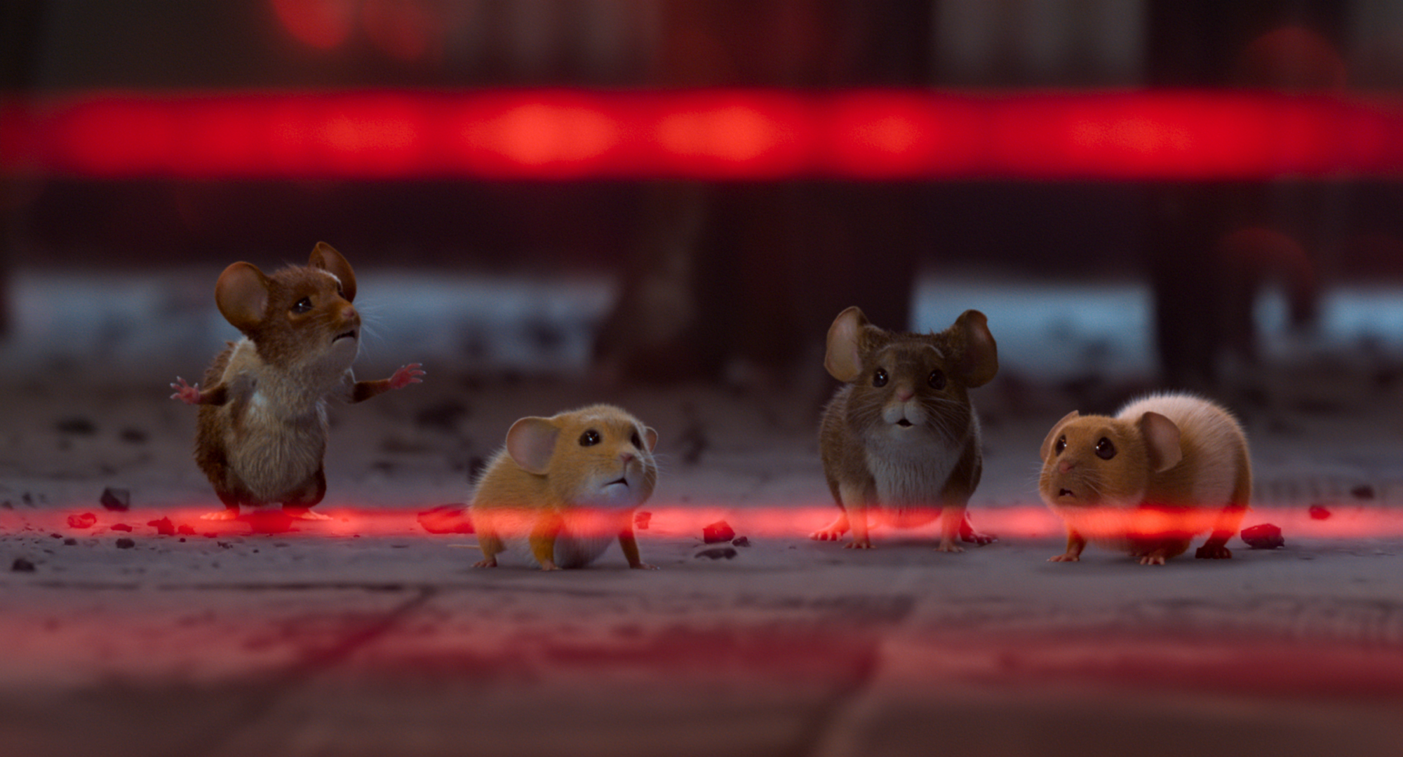 Mission Mäusejagd - Chaos unterm Weihnachtsbaum - Szenen - ov - 05 SolaMedia_10.png