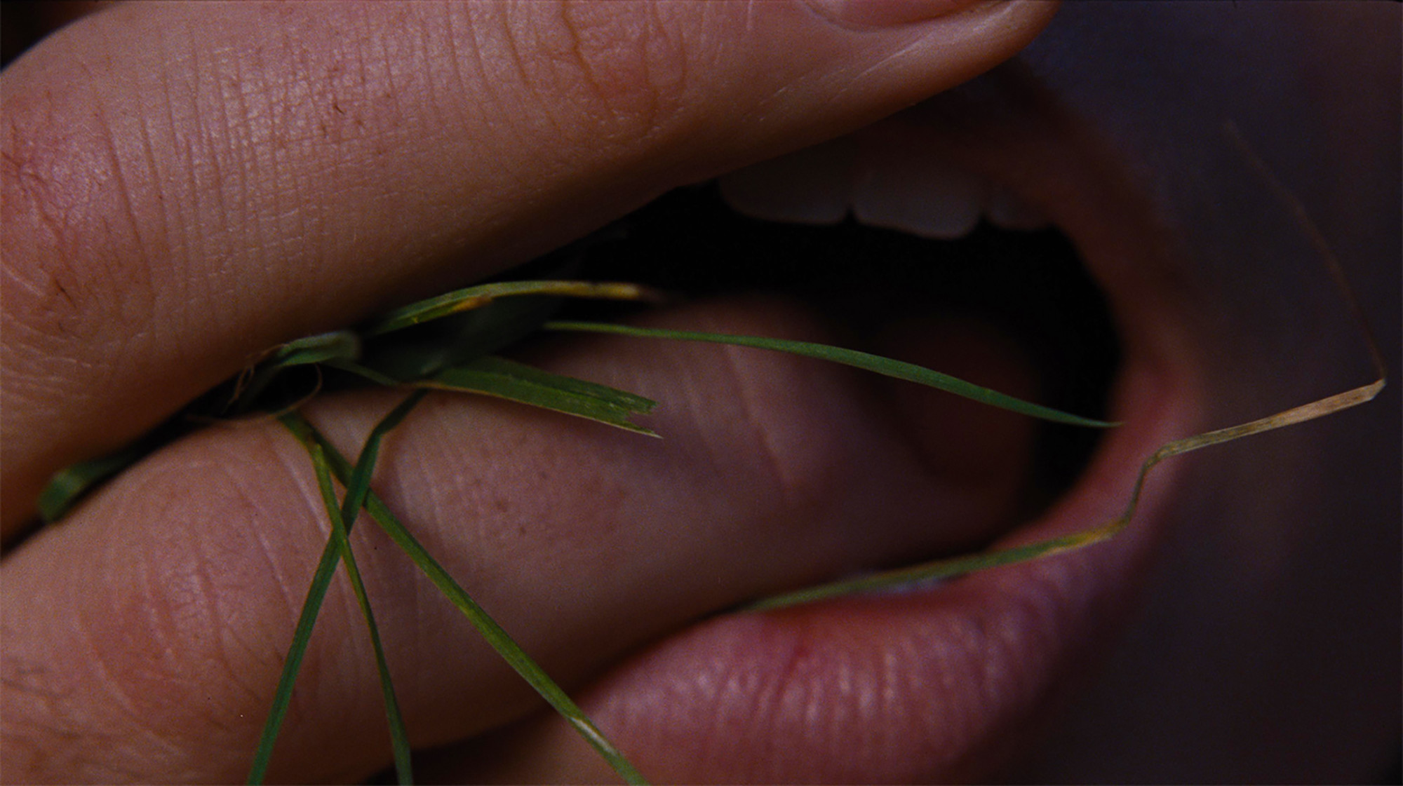 Wuthering Heights - Szenen - ov - BE_OPT3_clean.jpg