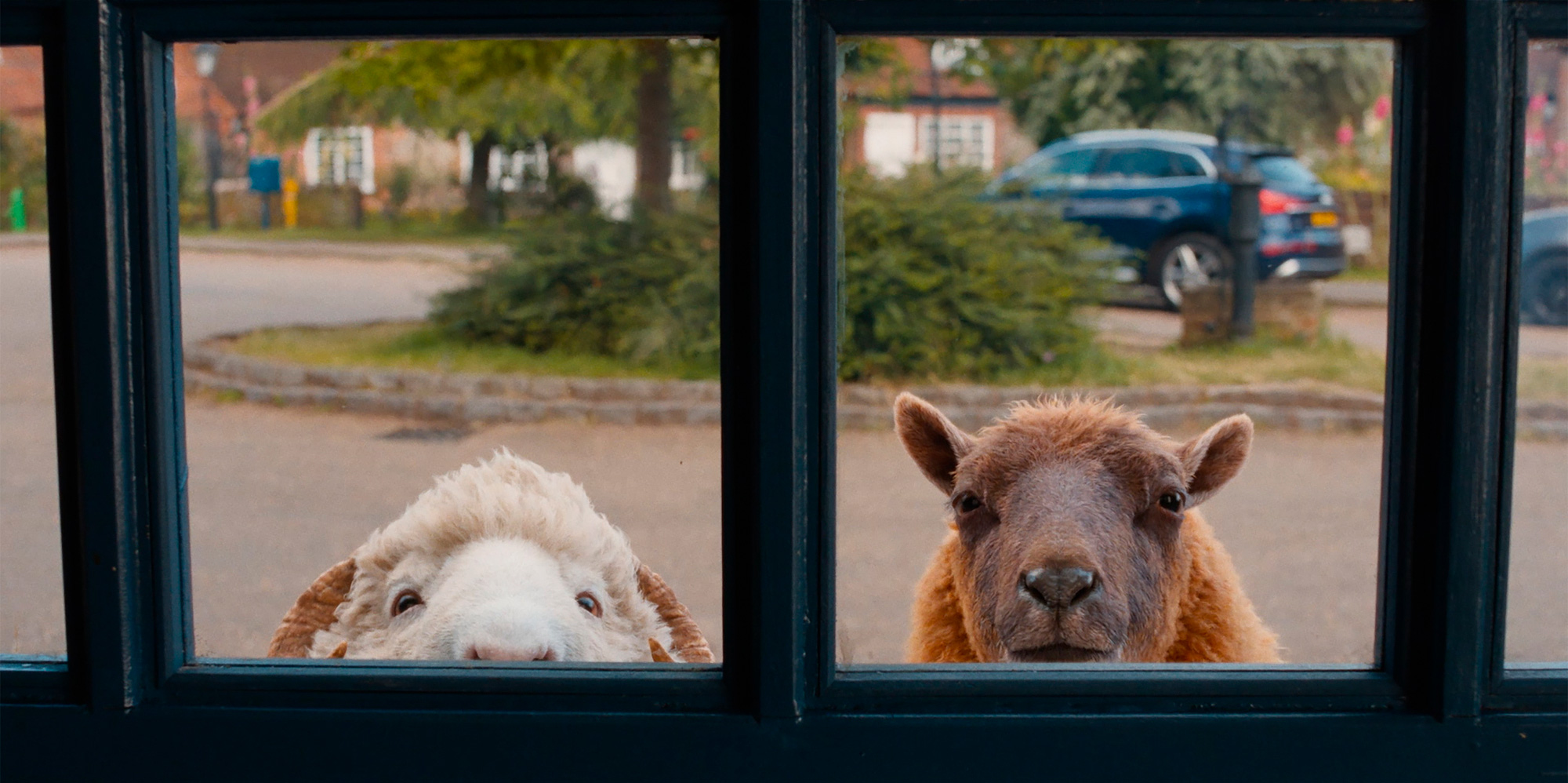 TSD_TP01_02285_R_2000x998_thumbnail (1).jpg