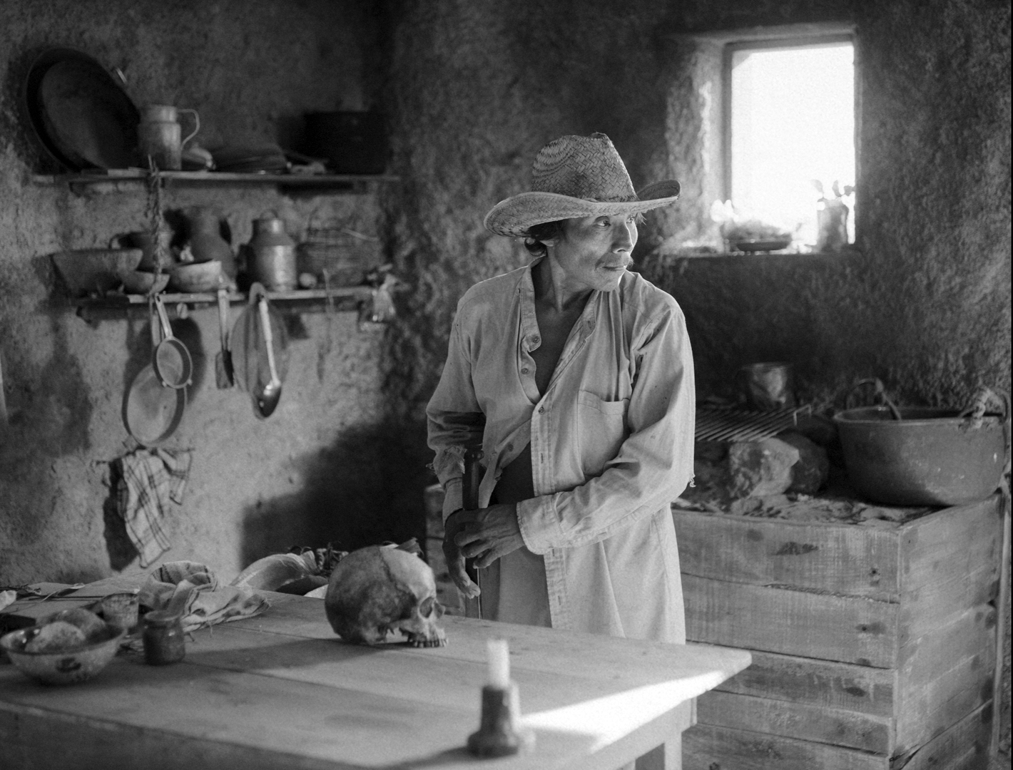 Cosmos_5_Sister Distribution.jpg