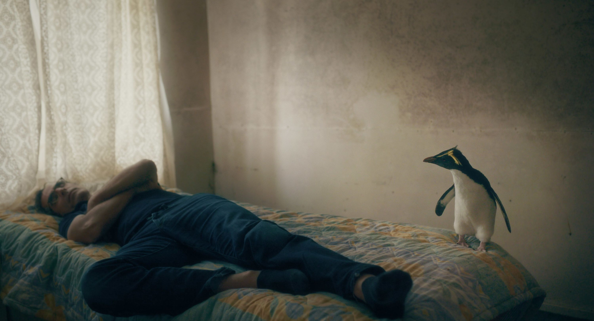 TRISTAN_FOREVER_Filmstills_001.jpeg