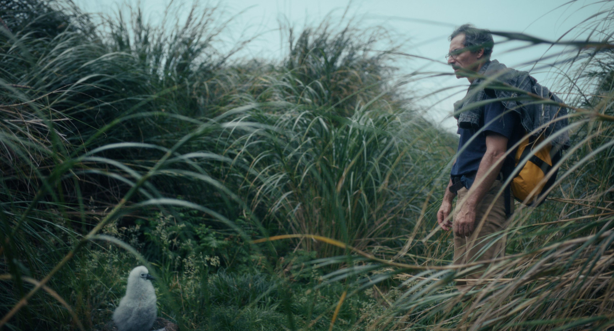 TRISTAN_FOREVER_Filmstills_005.jpeg